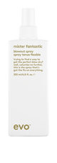 evo Mister Fantastic Blowout Spray 200ml - GF
