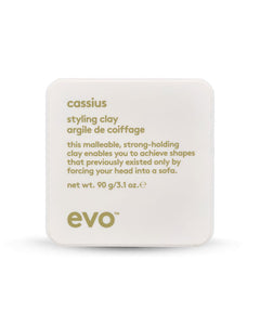 evo Cassius Styling Clay 90g - New